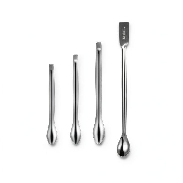 Stainless Steel Lab Spatula Set Punhung Double Ended Micro Scoop-2